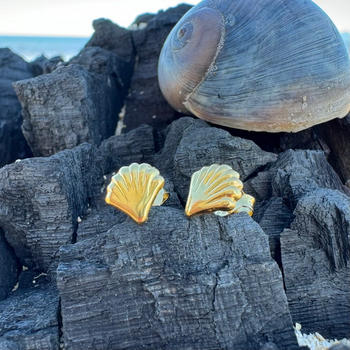 gold shell earrings