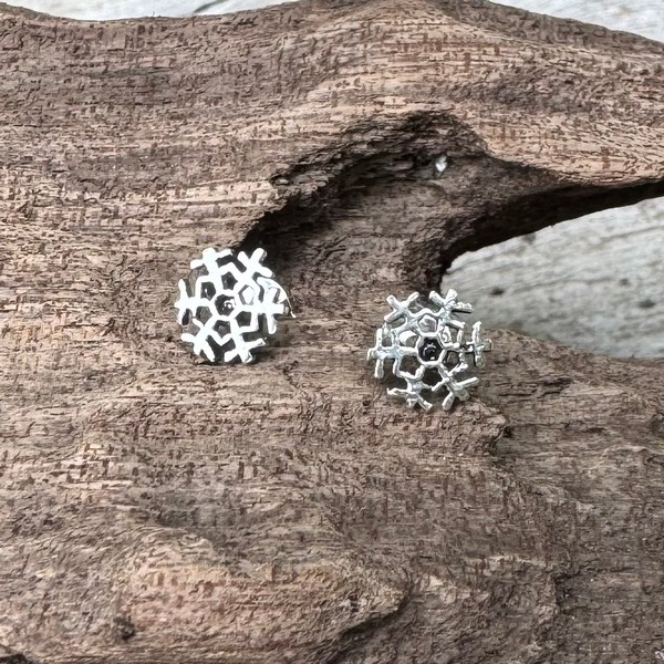 Snowflake Earrings