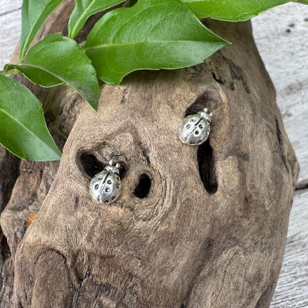 lady bug earrings